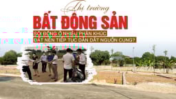 Thị trường bất động sản sôi động ở nhiều phân khúc, đất nền tiếp tục dẫn dắt nguồn cung?
