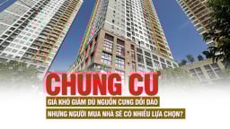 Thị trường chung cư: Giá khó giảm dù nguồn cung dồi dào nhưng người mua nhà sẽ có nhiều lựa chọn?