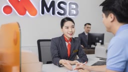 Tín dụng trong 6 tháng đầu năm 2025 tại MSB tăng 13,39%