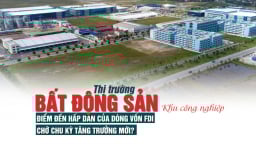 Thị trường bất động sản khu công nghiệp: Điểm đến hấp dẫn của dòng vốn FDI, chờ chu kỳ tăng trưởng mới?