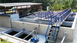 Quy chuẩn quốc gia về nước thải chăn nuôi chính thức có hiệu lực từ ngày 01/9/2025