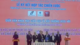 Khai phóng, tạo xung lực cho doanh nghiệp Việt bứt phá