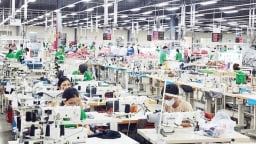 TP. Huế hỗ trợ doanh nghiệp nâng cao năng suất và chất lượng