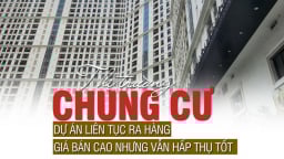 Thị trường chung cư: Dự án liên tục ra hàng, giá bán cao nhưng vẫn hấp thụ tốt