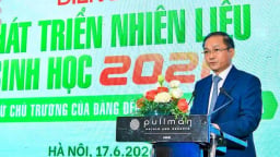 Thúc đẩy nhiên liệu sinh học trong chiến lược chuyển dịch năng lượng quốc gia