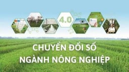 Khoa học công nghệ và chuyển đổi số tạo động lực phát triển nông nghiệp bền vững