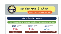 Tình hình kinh tế - xã hội 8 tháng năm 2024