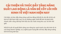 [Infographic] Cải thiện và thúc đẩy tăng năng suất lao động là vấn đề cốt lõi với kinh tế Việt Nam hiện nay