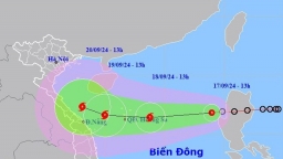 Chủ động ứng phó áp thấp nhiệt đới có khả năng mạnh lên thành bão