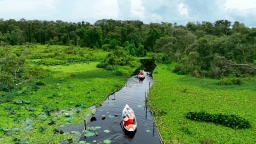 Bối cảnh phim 'Đất rừng Phương Nam' và chợ hơn 100 tuổi 'lên ngôi' trong cuộc đua điểm đến du lịch hấp dẫn 2024