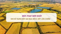 Từ nay, áp dụng quy định xử phạt mới nhất về sử dụng đất sai mục đích, đất lấn chiếm