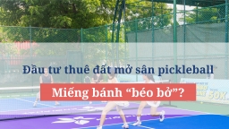 Đầu tư đất kinh doanh pickleball: Có phải là “miếng bánh béo bở?”