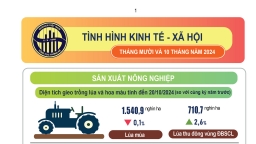 Tình hình kinh tế - xã hội 10 tháng năm 2024