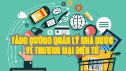 Thủ tướng Chính phủ yêu cầu đẩy mạnh công tác quản lý nhà nước về thương mại điện tử