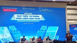 Phát triển thị trường năng lượng cạnh tranh đến năm 2030, tầm nhìn đến năm 2045