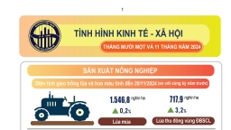 Tình hình kinh tế - xã hội 11 tháng năm 2024