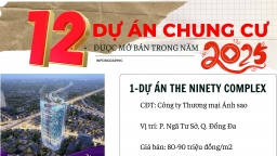 [Inforgraphic]: 12 dự án chung cư được mở bán trong năm 2025