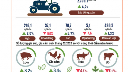 Tình hình kinh tế - xã hội tháng 2 và 2 tháng đầu năm 2025