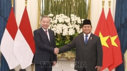 Tổng Bí thư Tô Lâm hội đàm với Tổng thống Indonesia Prabowo Subianto