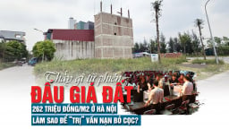 Thấy gì từ phiên đấu giá đất 262 triệu đồng/m2 ở Hà Nội, làm sao để “trị” vấn nạn bỏ cọc?