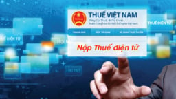 Hệ thống thuế điện tử chính thức hoạt động trở lại