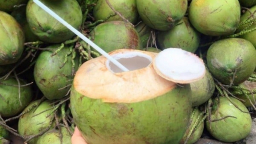 Dừa tươi tăng giá gấp đôi vì nắng nóng