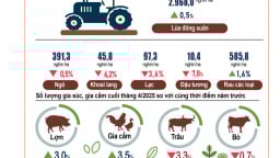 Tình hình kinh tế - xã hội tháng 4 và 4 tháng đầu năm 2025