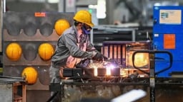 Việt Nam cần tích cực cải thiện năng suất lao động để phát triển giàu mạnh, thịnh vượng
