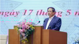 Thủ tướng chủ trì phiên họp Ban Chỉ đạo của Chính phủ về phát triển KHCN, đổi mới sáng tạo, chuyển đổi số và Đề án 06
