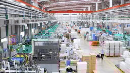 Ứng dụng SQC và SPC để kiểm soát chất lượng quan trọng đối với các doanh nghiệp