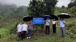 Kiểm tra tiến độ đề tài: Nghiên cứu bảo tồn và phát triển quần thể chè Shan tuyết cổ thụ (Camellia sinensis var. Shan) gắn với du lịch sinh thái tại xã Bằng Phúc, huyện Chợ Đồn, tỉnh Bắc Kạn