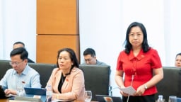 Đại biểu Quốc hội bức xúc vì cả chợ Ninh Hiệp bán công khai hàng giả, hàng nhái, cơ quan chức năng ở đâu?