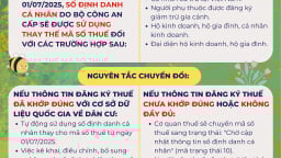 Sử dụng số định danh cá nhân thay thế mã số thuế trong nhiều giao dịch