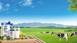 ISO 50001 trở thành chìa khóa vàng nâng cao hiệu quả năng lượng và năng suất doanh nghiệp