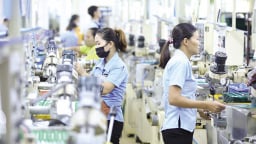 7 bước triển khai hiệu quả mô hình TPI tại doanh nghiệp