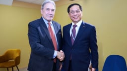 Phó Thủ tướng, Bộ trưởng Bộ Ngoại giao Bùi Thanh Sơn tiếp Bộ trưởng Ngoại giao New Zealand