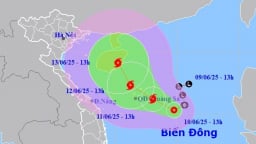 Thủ tướng chỉ đạo chủ động ứng phó với áp thấp nhiệt đới có khả năng mạnh lên thành bão và mưa lũ