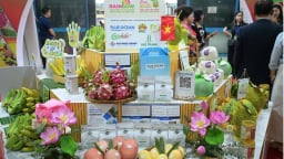Áp dụng các tiêu chuẩn nông nghiệp bền vững để nâng cao khả năng tiếp cận thị trường nước ngoài