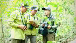 'Nhà khoa học' của rừng