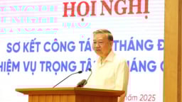 Tạo chuyển biến thực chất, mạnh mẽ trong phát triển khoa học, công nghệ, đổi mới sáng tạo, chuyển đổi số