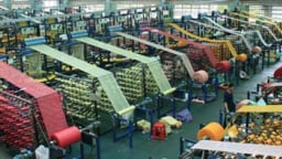 ToC giúp dẫn lối năng suất và chất lượng bứt phá