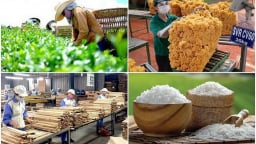 6 tháng đầu năm, xuất khẩu nông lâm thủy sản tăng 15,5%