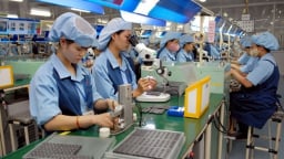 Áp dụng công cụ SWIFT: Bước ngoặt nâng cao năng suất cho doanh nghiệp điện tử Việt Nam