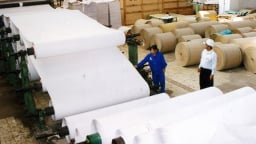 Nâng cao năng suất toàn diện cho doanh nghiệp Việt nhờ áp dụng NPS