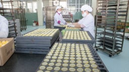Nâng cao năng suất, kiến tạo giá trị nhờ QFD