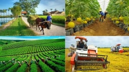 Nghị quyết 57 tạo động lực thúc đẩy nền nông nghiệp chuyển mình