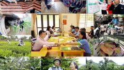 Nâng cao hiệu quả tín dụng chính sách xã hội
