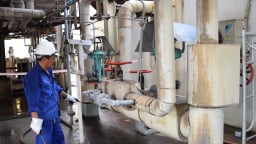 Áp dụng TWI giúp nâng cao hiệu quả sản xuất tại doanh nghiệp đường mía