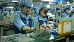 Ứng dụng mô hình Kano trong ngành sản xuất máy in mang lại sự chuyển biến rõ rệt