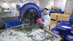 Ngành tôm trước ba thách thức lớn: Cơ hội bứt phá cuối năm 2025